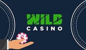 Total Testimonial of Wild Gambling Establishment